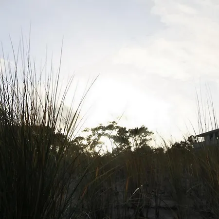 Ruegentraum Sauna - Kamin - Wlan - Lage - Bis 6 Personen בית נופש *