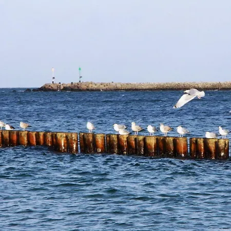 Ruegentraum Sauna - Kamin - Wlan - Lage - Bis 6 Personen בית נופש