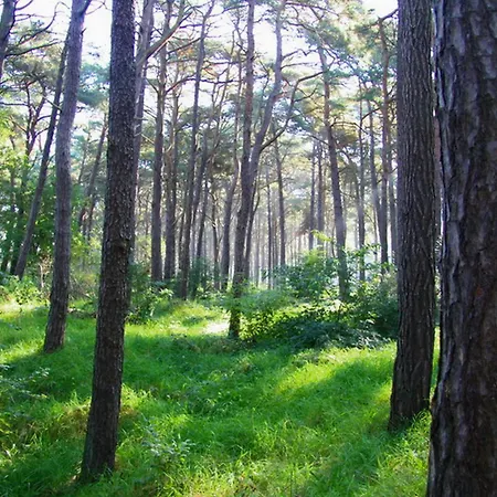 בית נופש Ruegentraum Sauna - Kamin - Wlan - Lage - Bis 6 Personen *