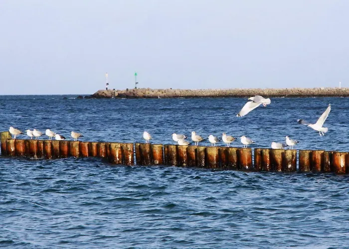 Ruegentraum Sauna - Kamin - Wlan - Lage - Bis 6 Personen Nyaraló